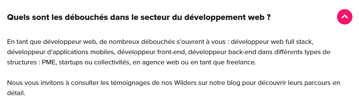 Débouchés développement web selon la Wild School